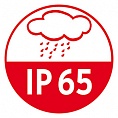 IP -   .  